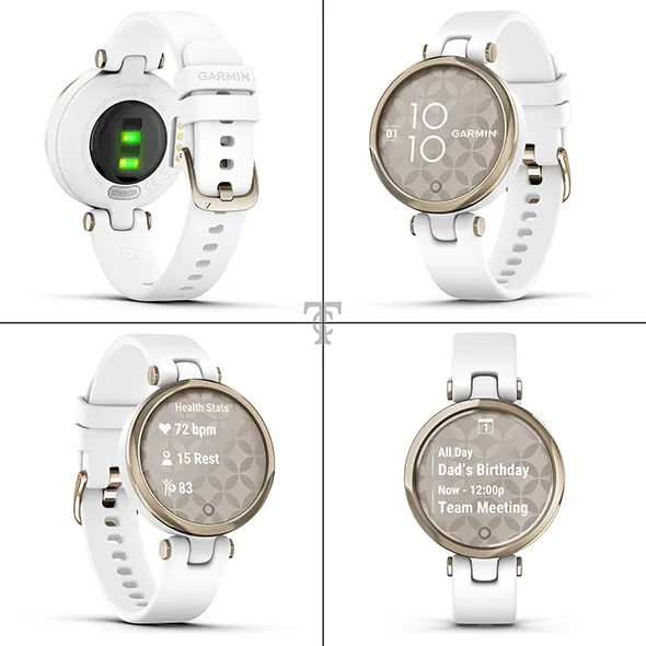 Garmin 010-02384-10 portré kép