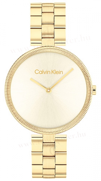 Calvin Klein CK25100014 karóra