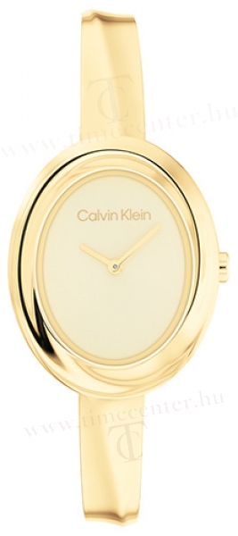 Calvin Klein CK25100056 karóra