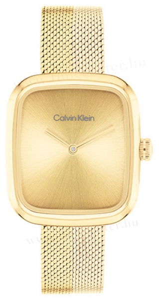 Calvin Klein CK25100099 karóra
