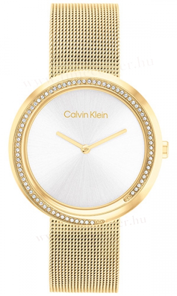 Calvin Klein CK25200150 karóra