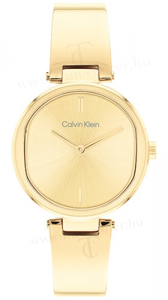 Calvin Klein CK25200309 karóra
