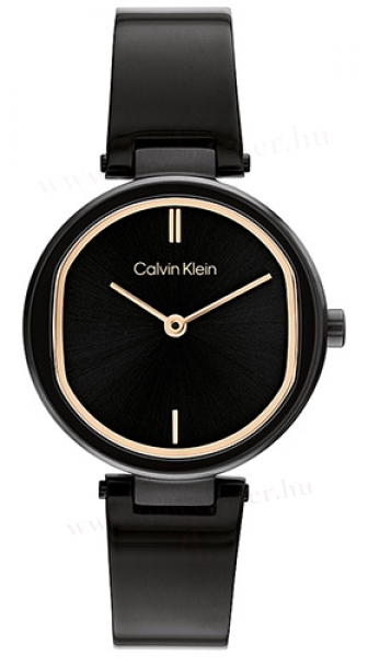 Calvin Klein CK25200310 karóra