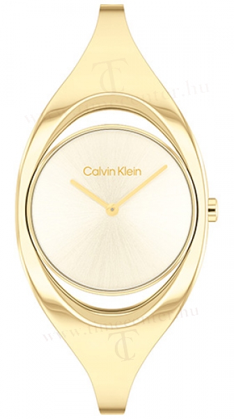 Calvin Klein CK25200391 karóra