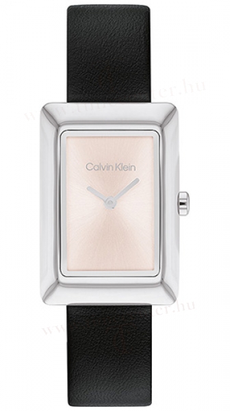 Calvin Klein CK25200400 karóra