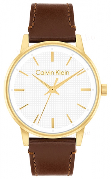 Calvin Klein CK25200503 karóra
